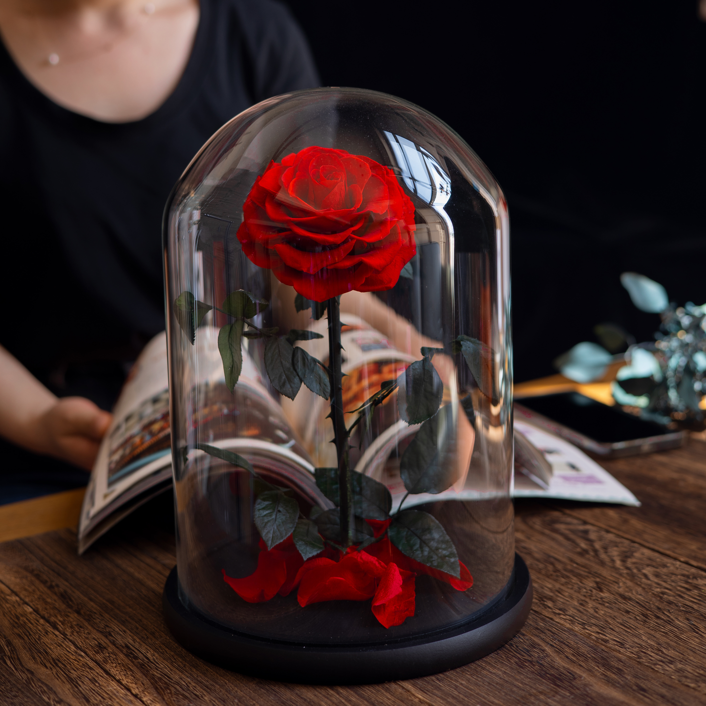Prince Red Roses