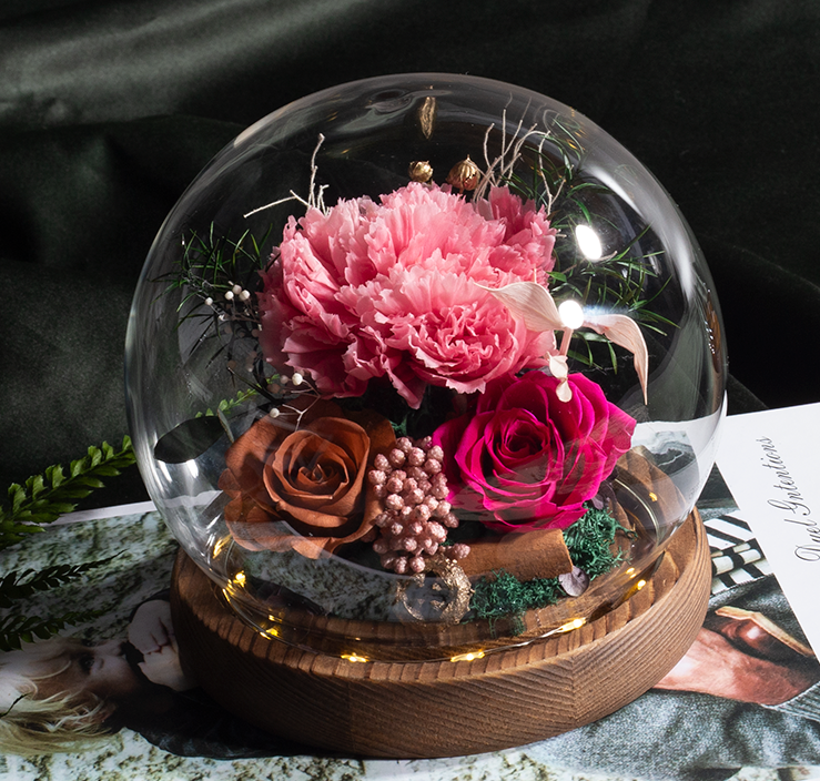 Carnation