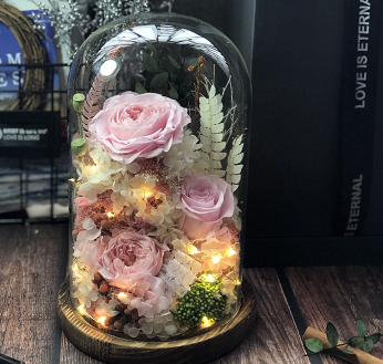 Roses Of The Wild