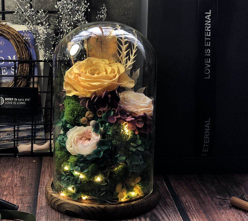 Roses Of The Wild